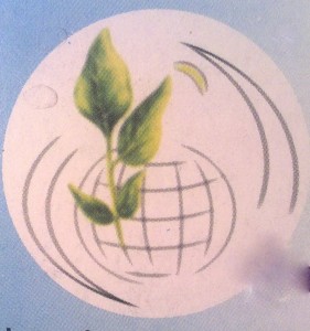 logobernardinvrt
